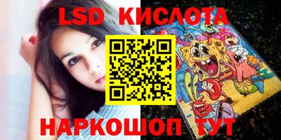 стаф Добрянка