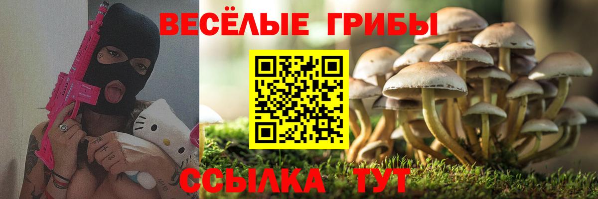 Псилоцибиновые грибы MAGIC MUSHROOMS  Вход с VPN  Верхний Уфалей 